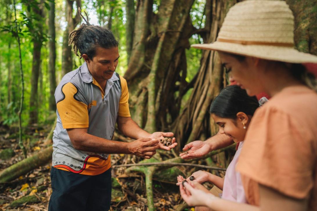 An Aboriginal tour guide with tourists on guided tour of the Daintree rainforest