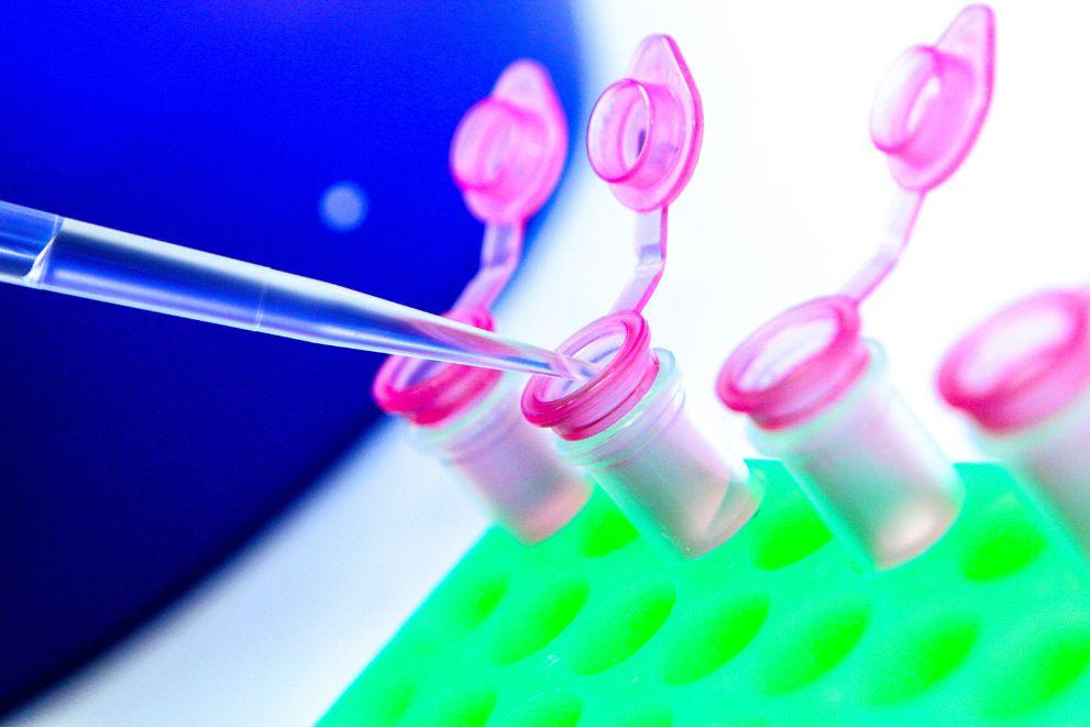 A pipette drops clear fluid into pink test tubes