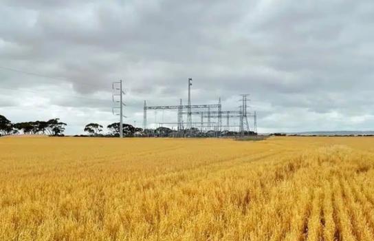 A power sub-station surrounded by a field of wheat