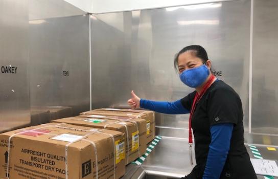 A woman in a surgical mask and scrubs giving a thumbs-up for three boxes containing Australian bovine tissue. 